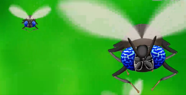 超完美昆蟲─黑水虻